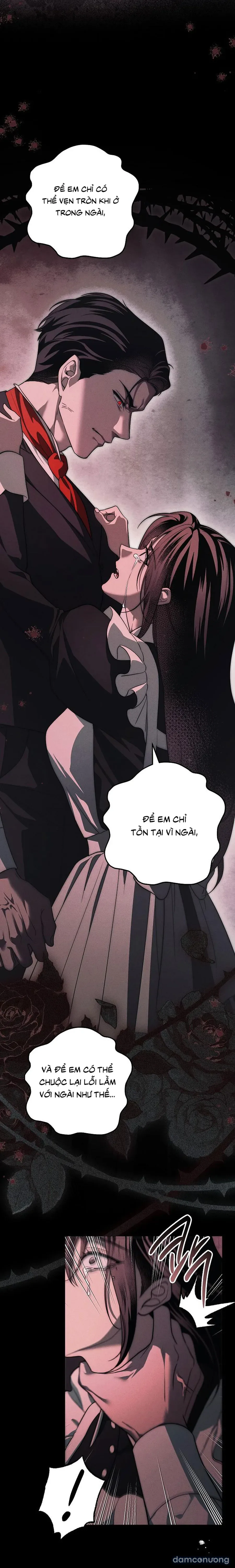 [KHÔNG CHE] [18+] Mộ Thiên Nga 