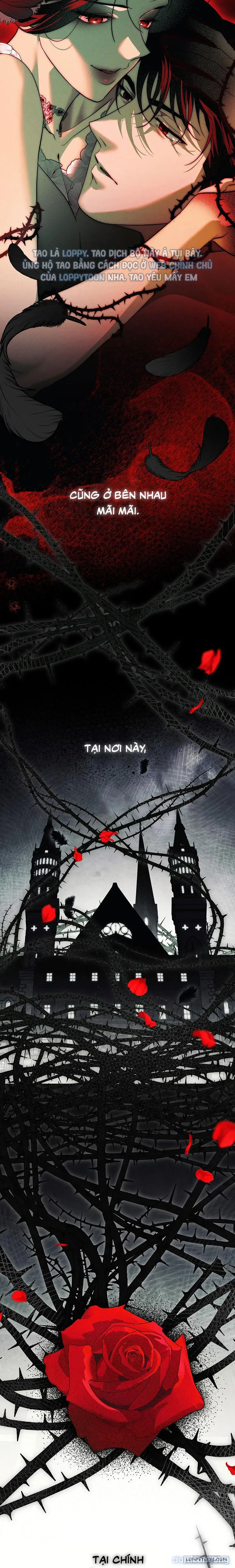 [KHÔNG CHE] [18+] Mộ Thiên Nga 