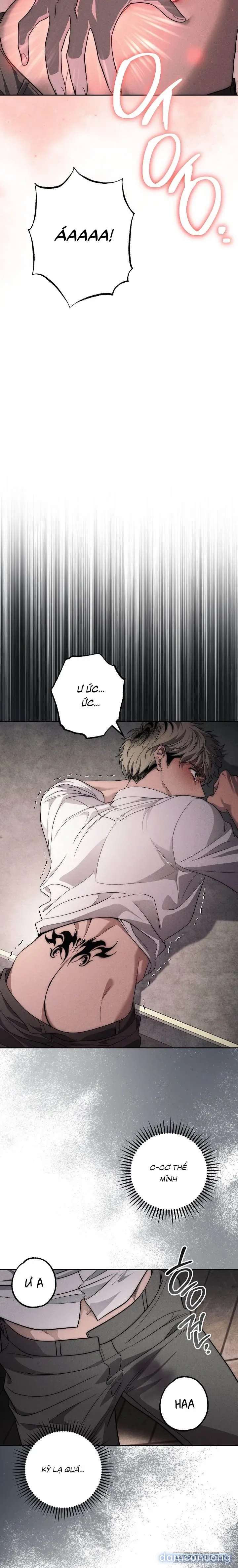 [KHÔNG CHE] [18+] Mộ Thiên Nga 