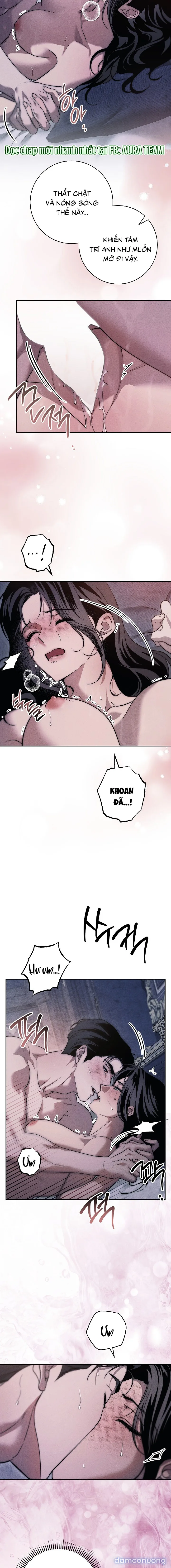 [KHÔNG CHE] [18+] Mộ Thiên Nga 