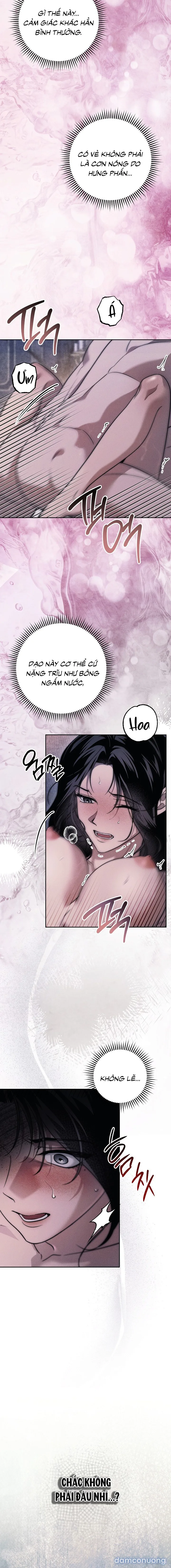 [KHÔNG CHE] [18+] Mộ Thiên Nga 