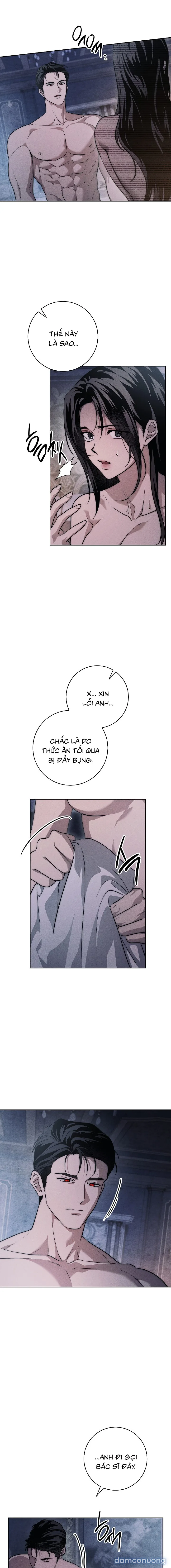[KHÔNG CHE] [18+] Mộ Thiên Nga 