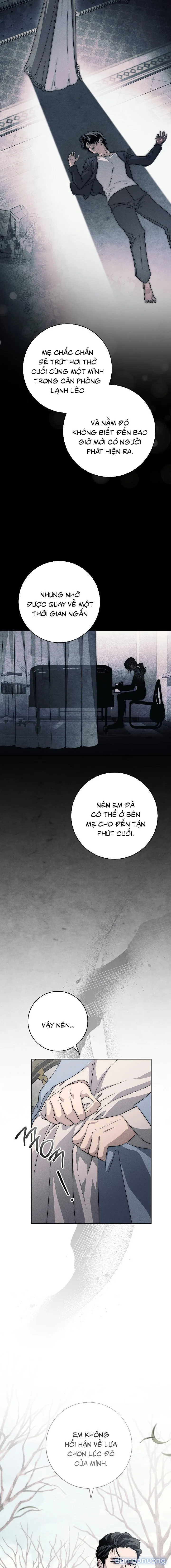 [KHÔNG CHE] [18+] Mộ Thiên Nga 