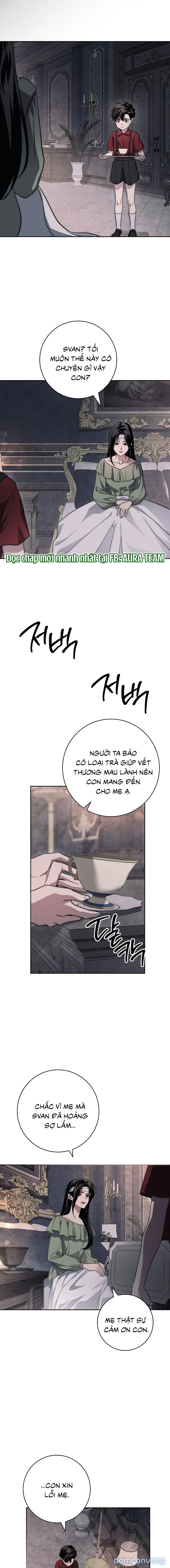 [KHÔNG CHE] [18+] Mộ Thiên Nga 