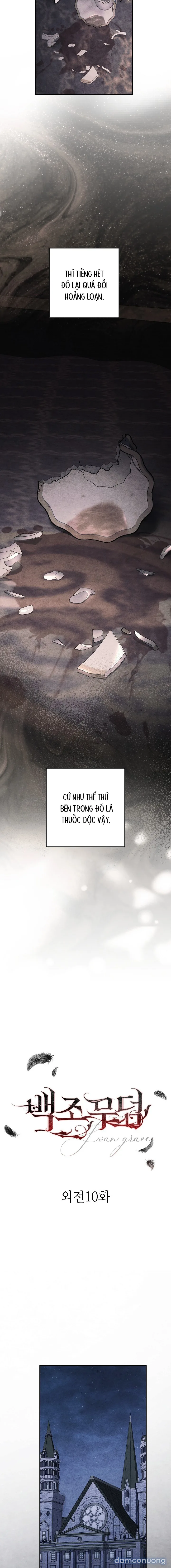 [KHÔNG CHE] [18+] Mộ Thiên Nga 