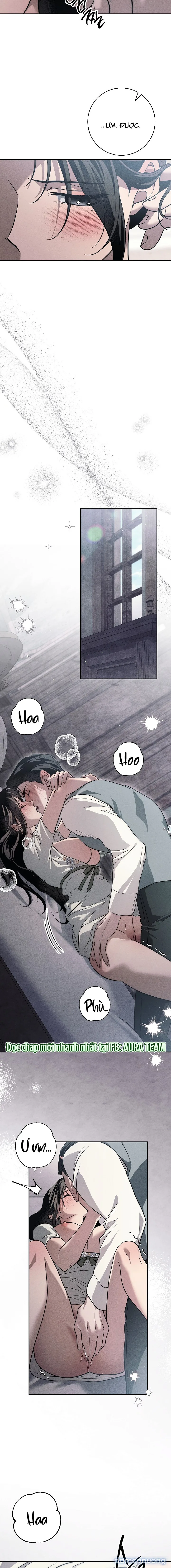 [KHÔNG CHE] [18+] Mộ Thiên Nga 