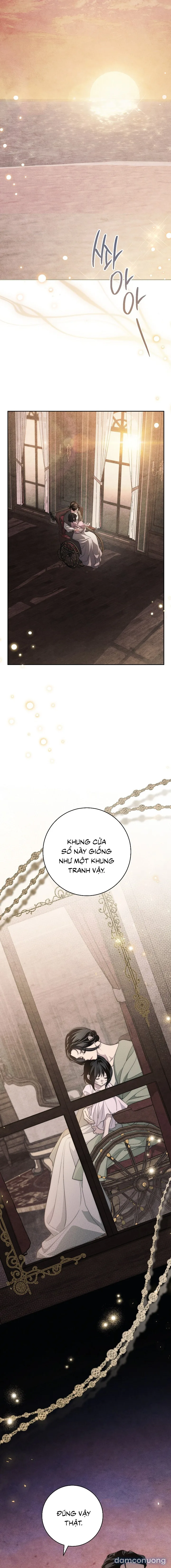 [KHÔNG CHE] [18+] Mộ Thiên Nga 