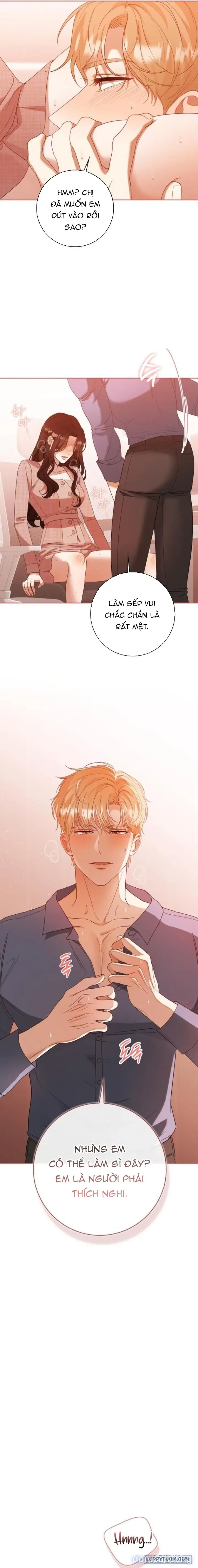Nhịp Điệu Của Chúng Ta 