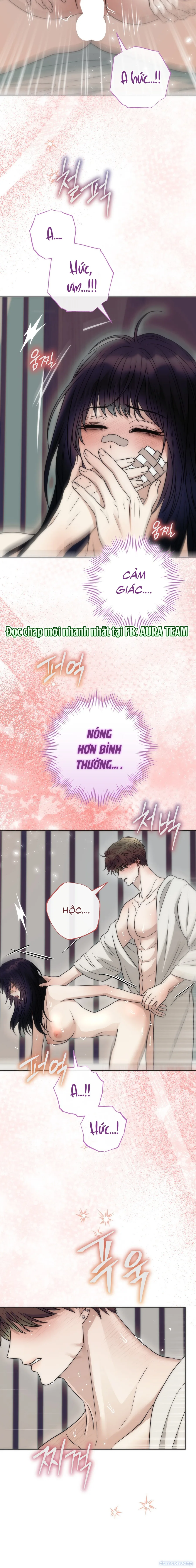 [18+] Hang Kiến 