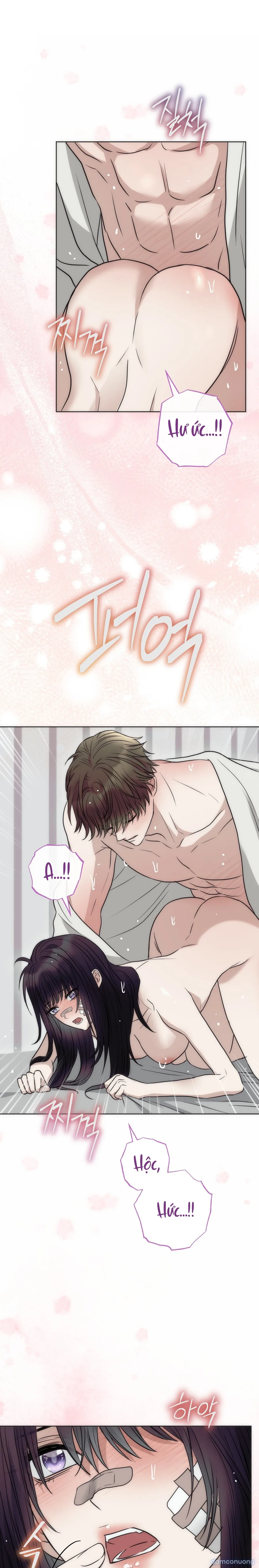[18+] Hang Kiến 