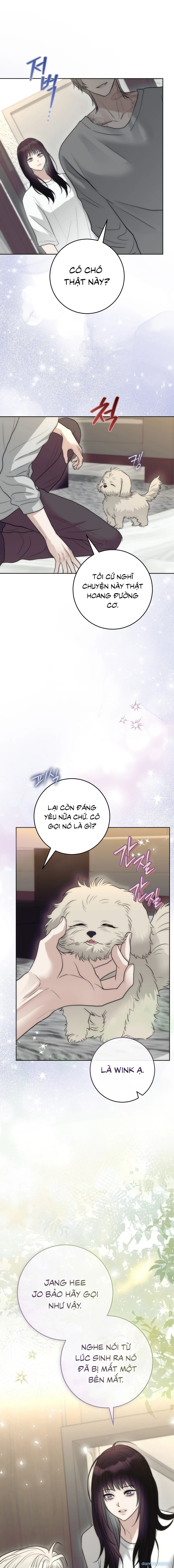 [18+] Hang Kiến 