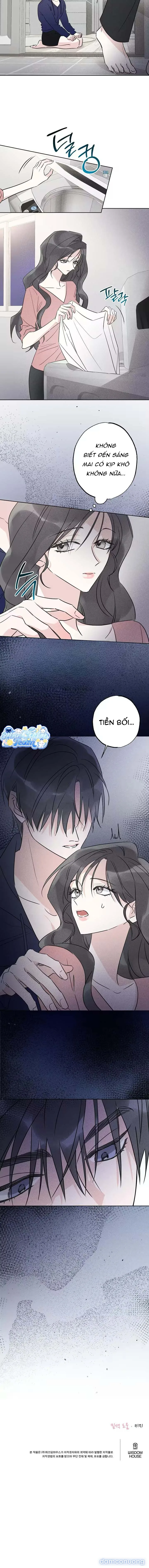 Sói Nhỏ Đang Nhắm Vào Tôi 