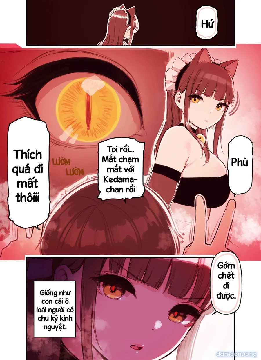 Những cô gái ở quán Maid Refre tai thú 
