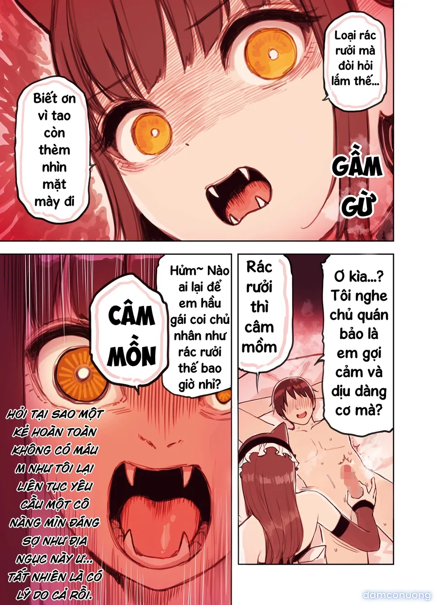 Những cô gái ở quán Maid Refre tai thú 