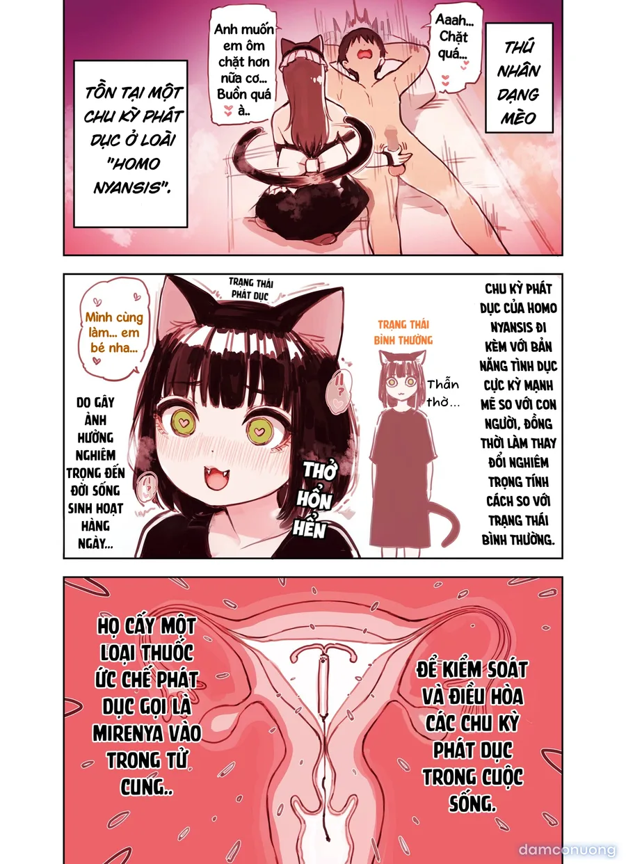 Những cô gái ở quán Maid Refre tai thú 