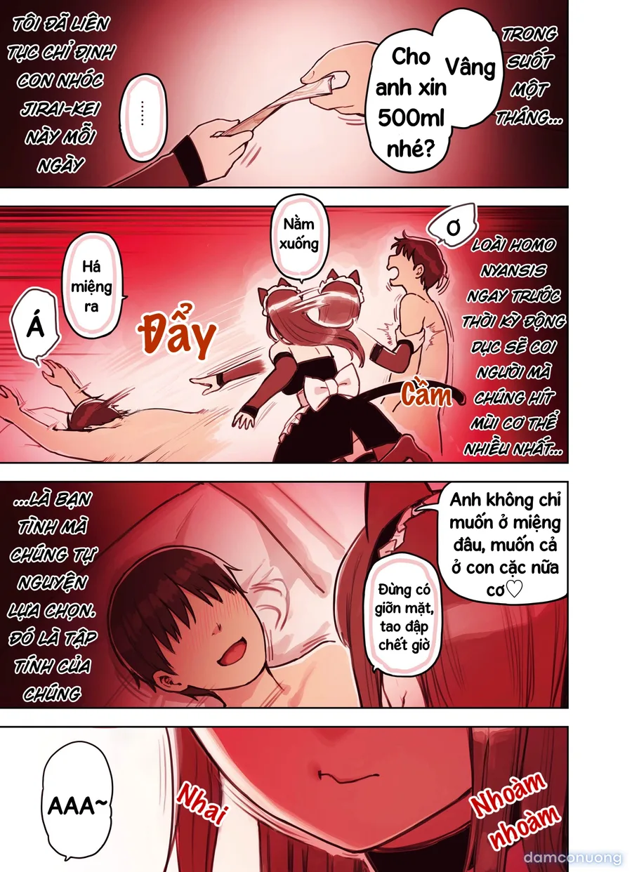 Những cô gái ở quán Maid Refre tai thú 
