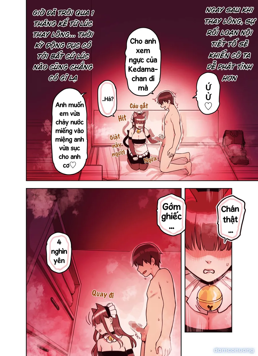 Những cô gái ở quán Maid Refre tai thú 