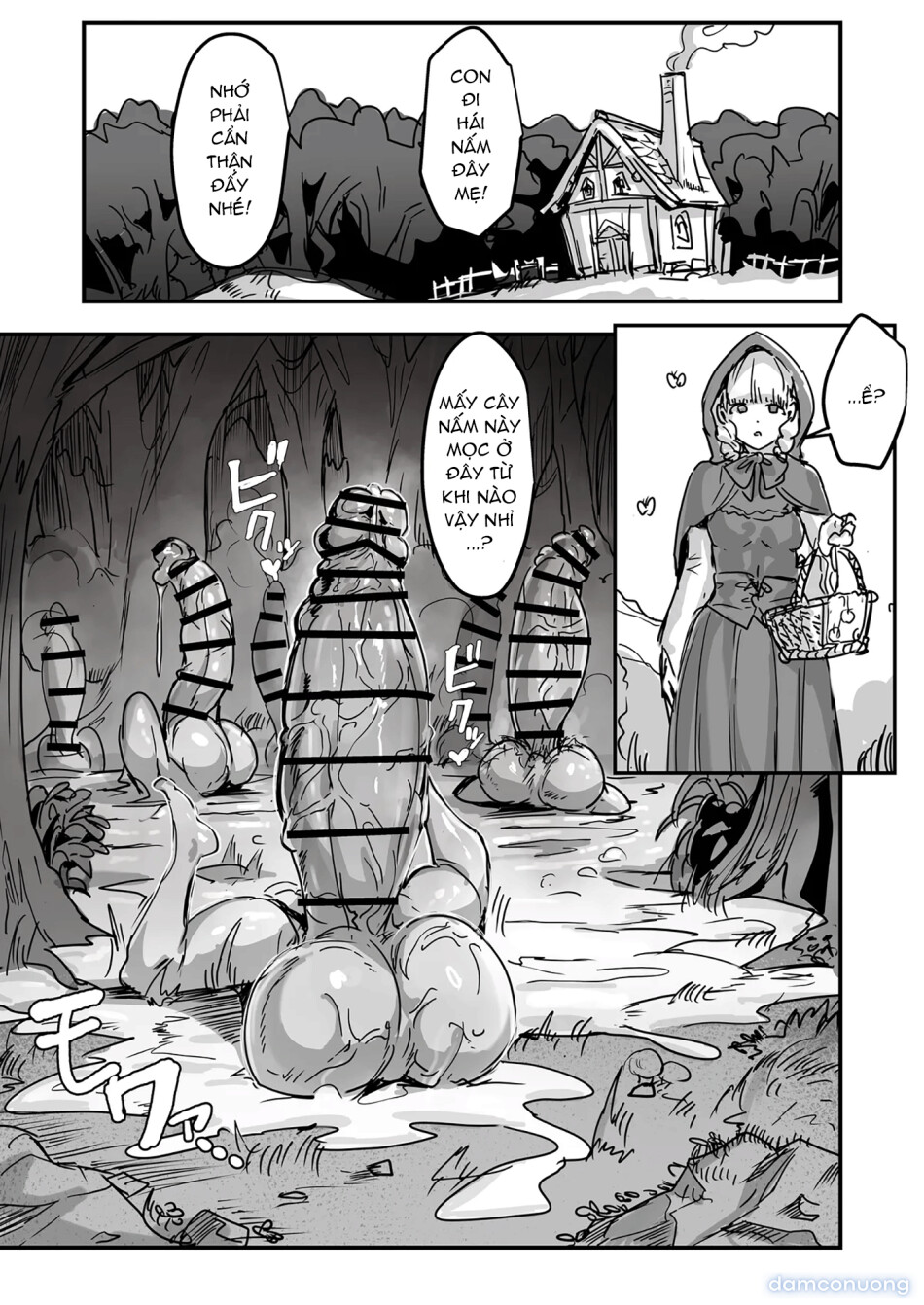 Beware of the Hermaphrodite Mushrooms in the Forest 