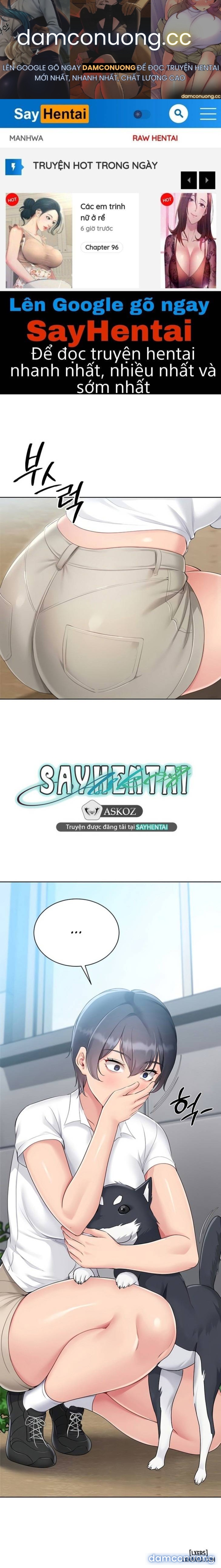 Set Up 