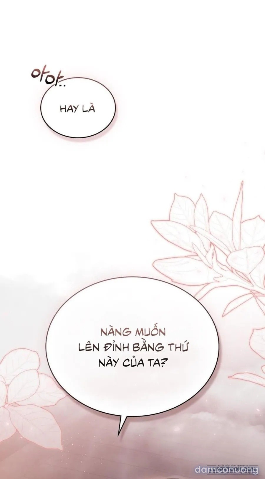 Chuyến Đi Đêm 