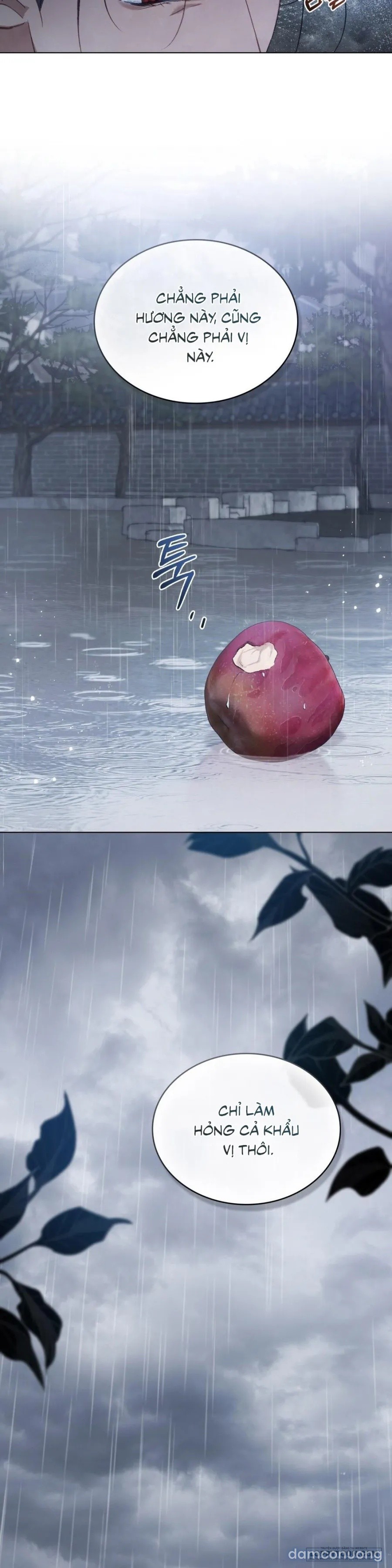 Chuyến Đi Đêm 