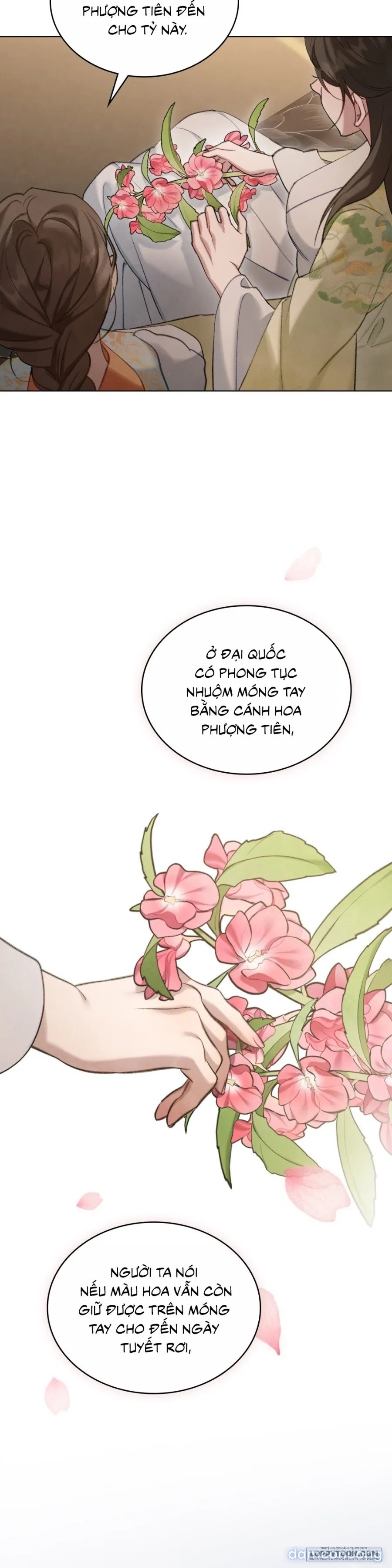 Chuyến Đi Đêm 