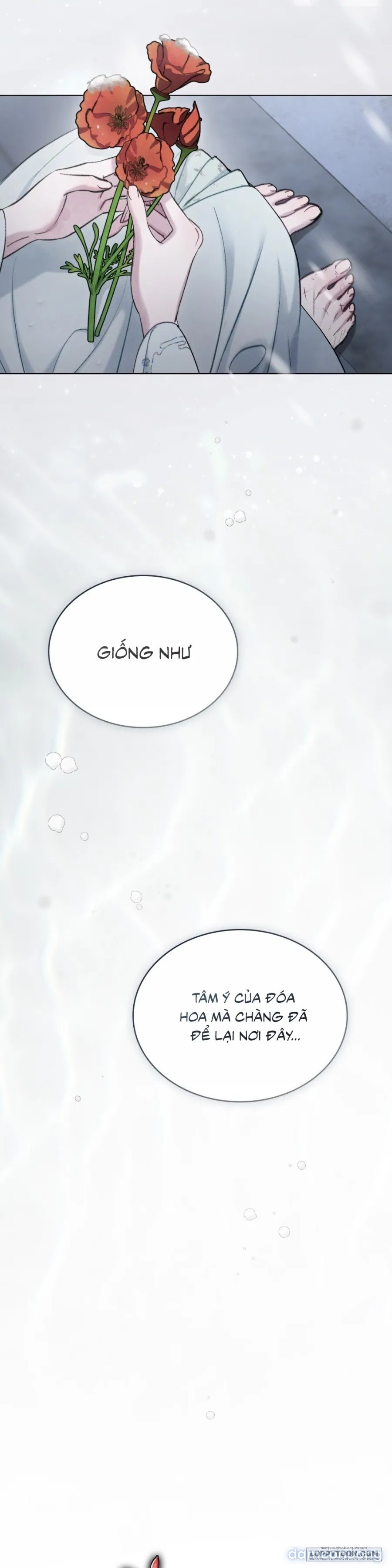 Chuyến Đi Đêm 