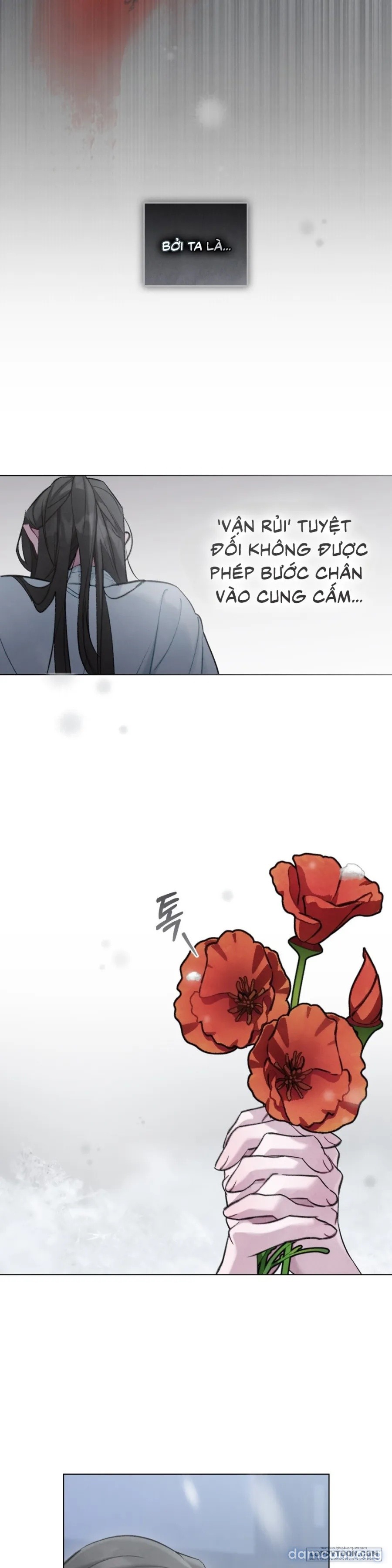 Chuyến Đi Đêm 