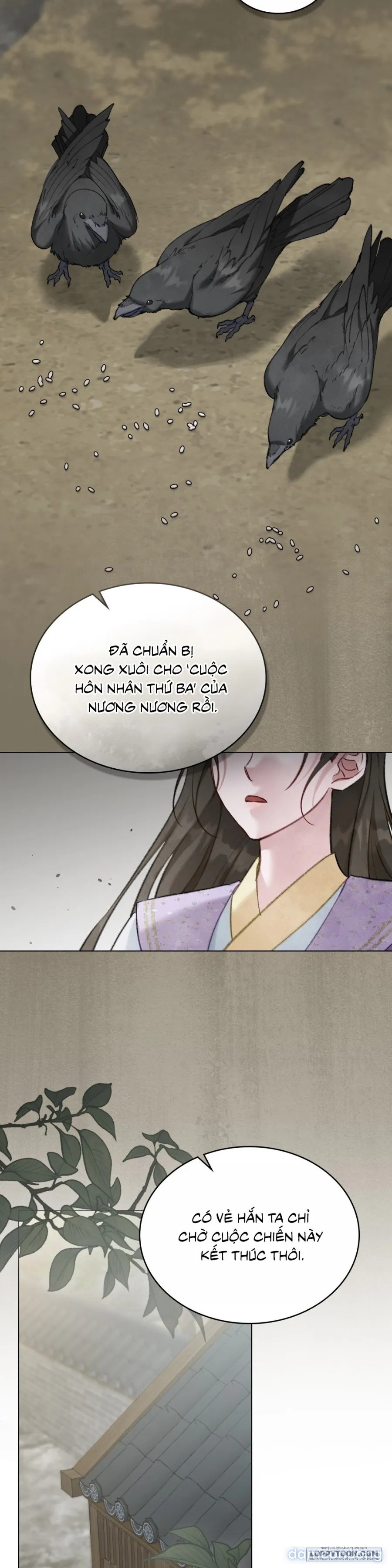 Chuyến Đi Đêm 