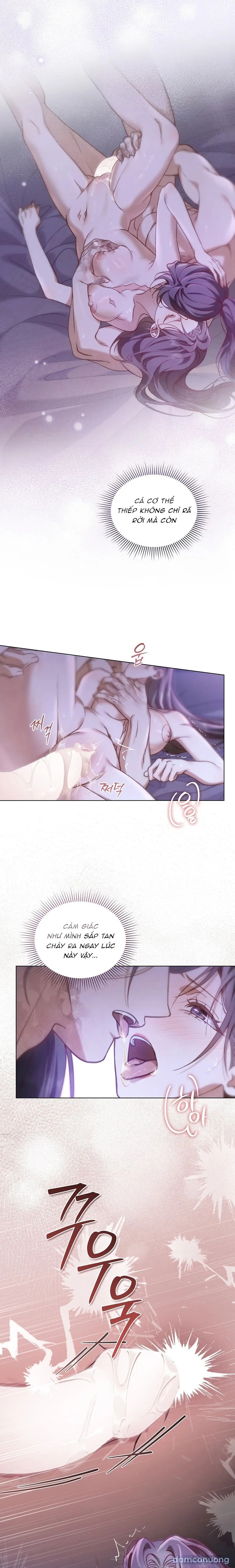 Chuyến Đi Đêm 