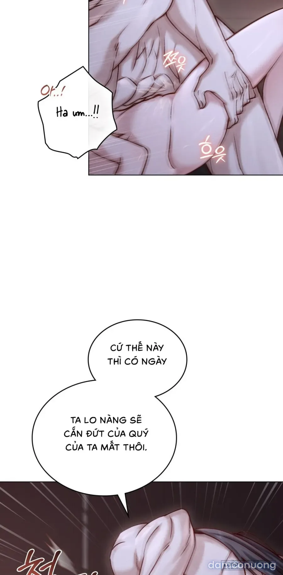 Chuyến Đi Đêm 
