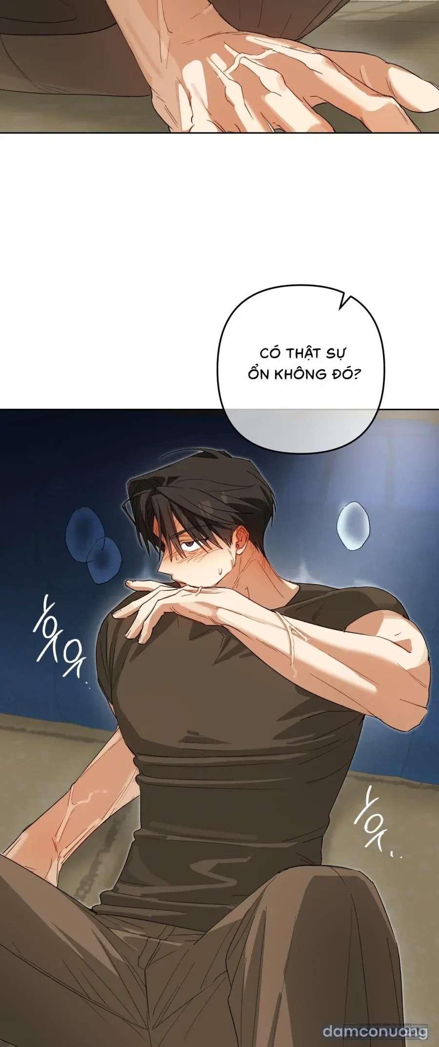 Chạm Vào Cơ Thể 