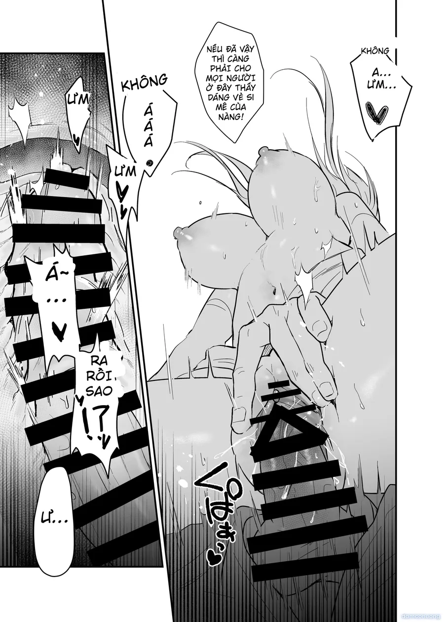 Fall of the Princess 