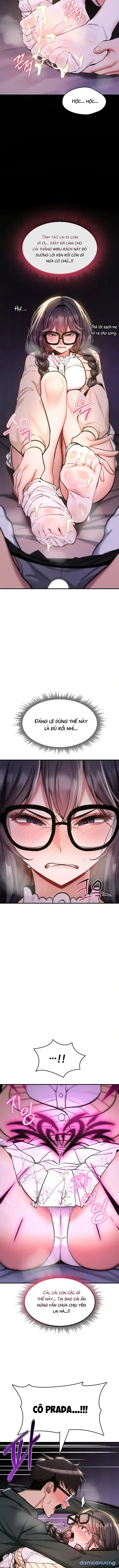 Lời Nguyền Của Kẻ Giả Gái 
