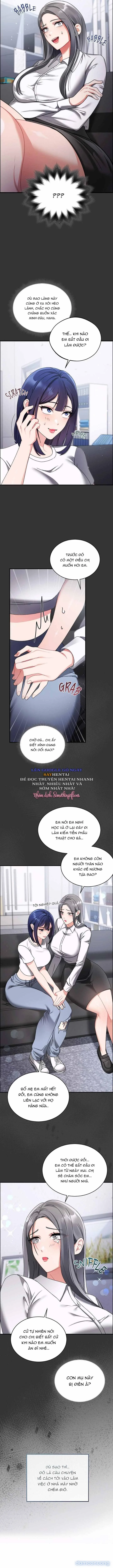 Lời Dối Trá Vẫn Ổn Mạch 
