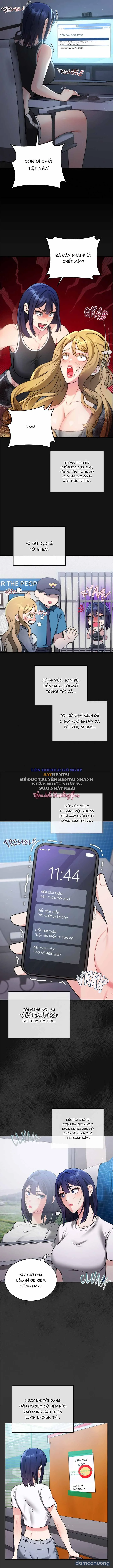 Lời Dối Trá Vẫn Ổn Mạch 