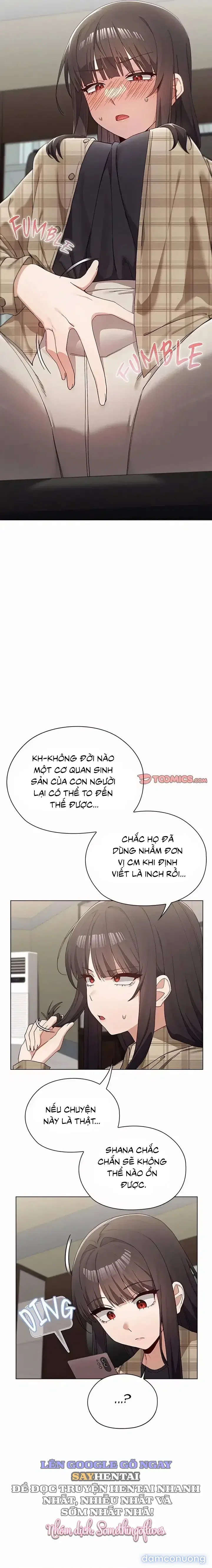 Đàn Ông Trên Đời Đi Đâu Hết Rồi? 