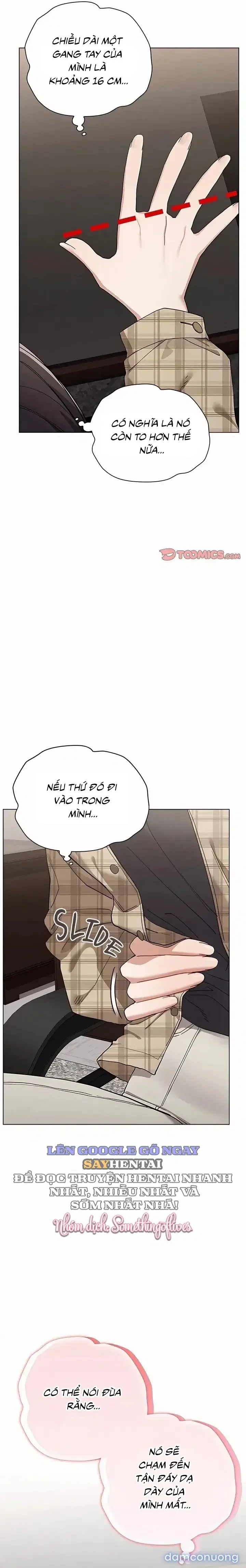 Đàn Ông Trên Đời Đi Đâu Hết Rồi? 