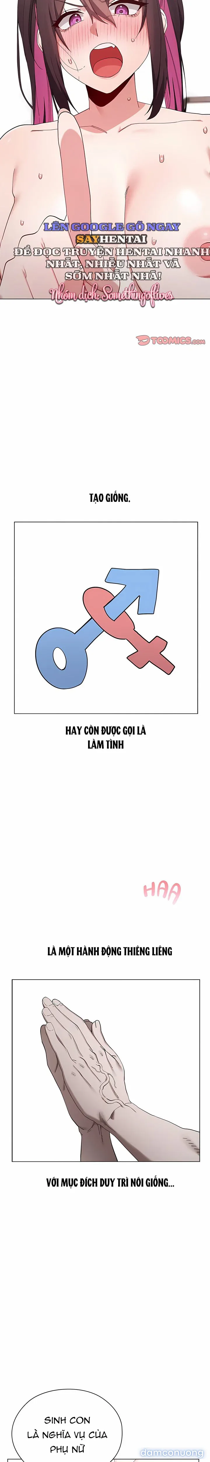Đàn Ông Trên Đời Đi Đâu Hết Rồi? 
