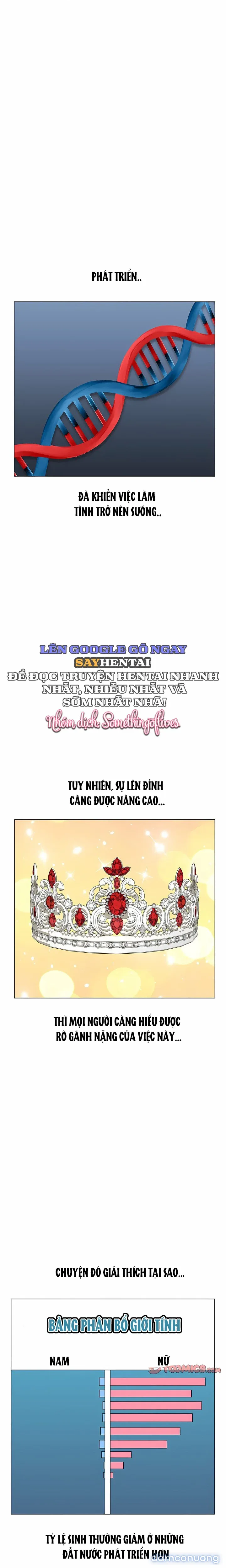 Đàn Ông Trên Đời Đi Đâu Hết Rồi? 