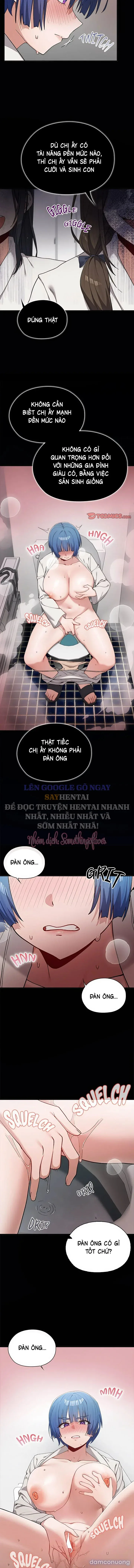 Đàn Ông Trên Đời Đi Đâu Hết Rồi? 
