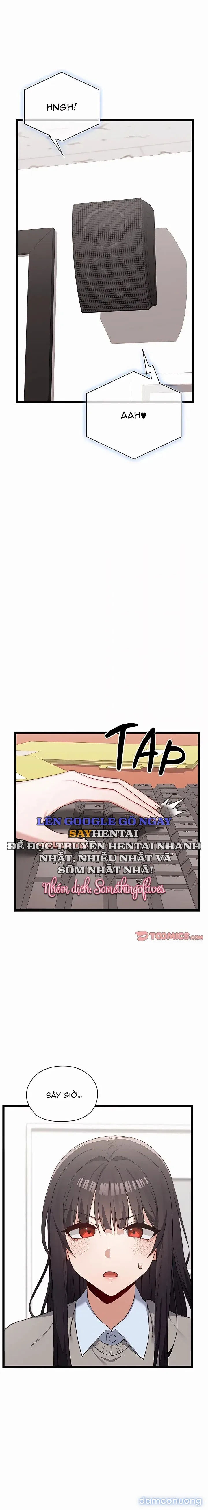 Đàn Ông Trên Đời Đi Đâu Hết Rồi? 