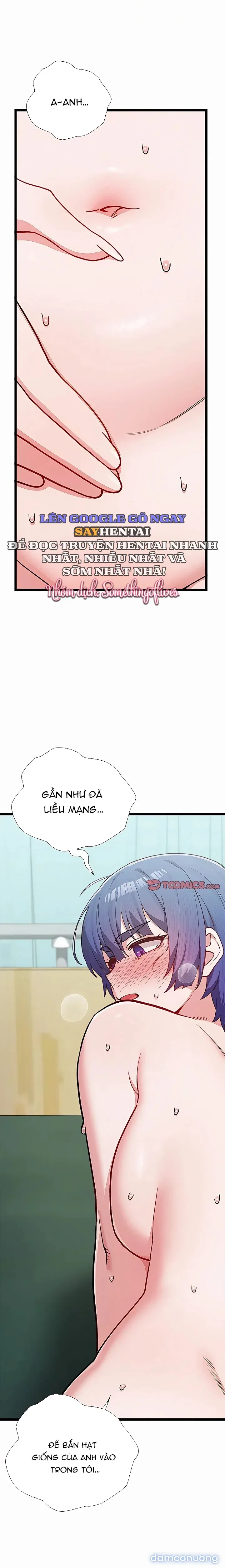 Đàn Ông Trên Đời Đi Đâu Hết Rồi? 
