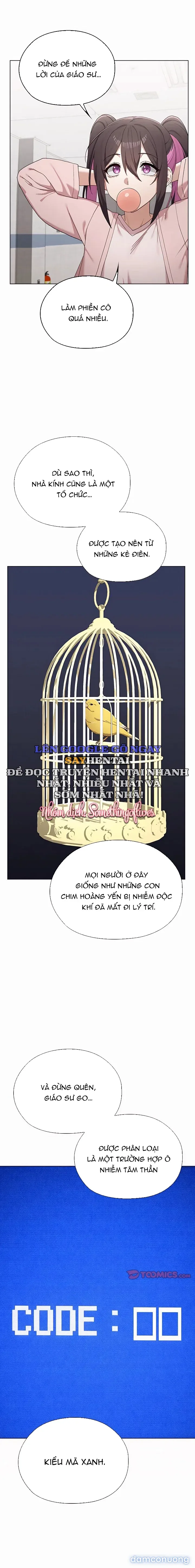 Đàn Ông Trên Đời Đi Đâu Hết Rồi? 