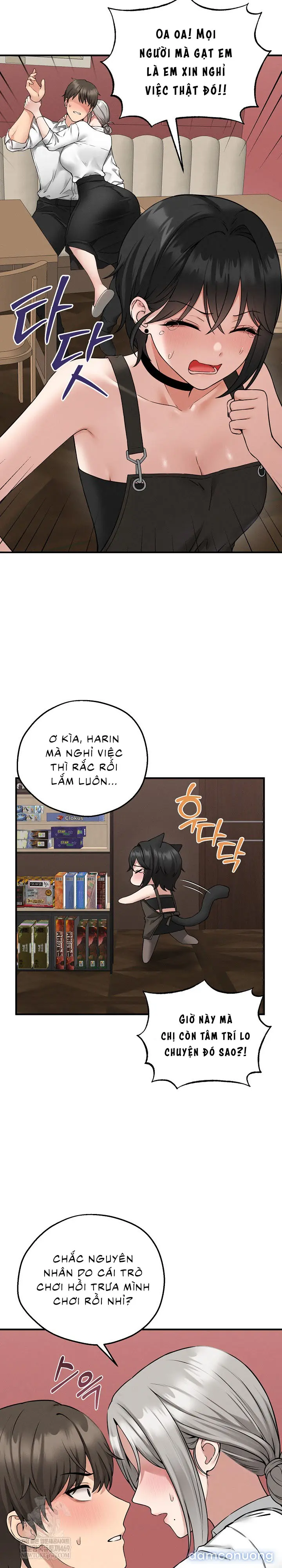 Asmodeck: Trò Chơi Cuồng Dâm 