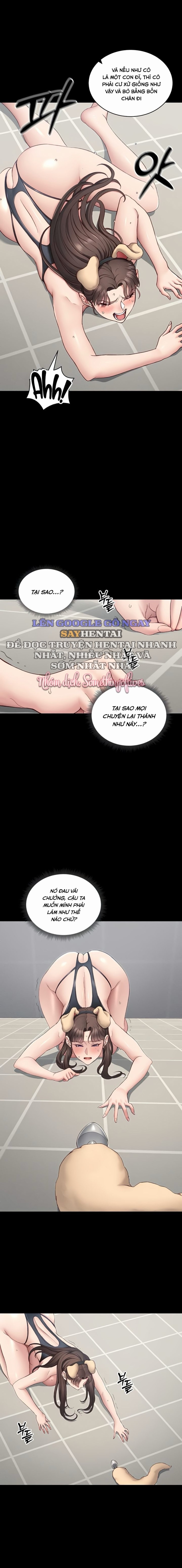 Thuần Phục Kẻ Bắt Nạt 