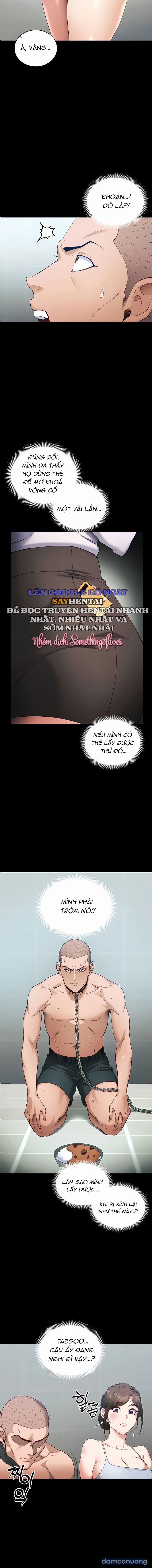 Thuần Phục Kẻ Bắt Nạt 