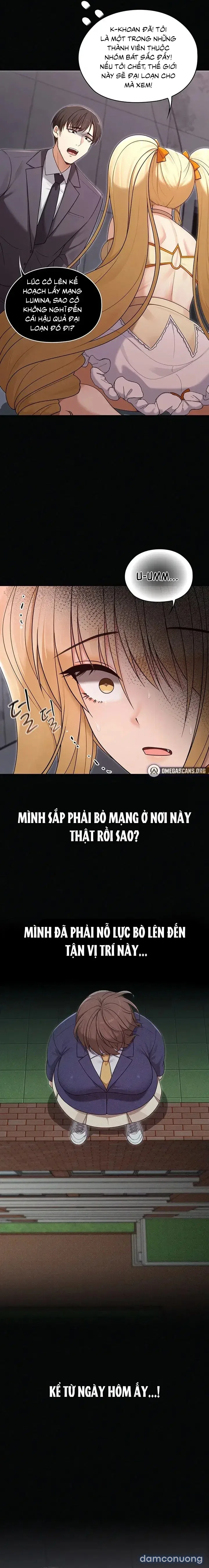 Nàng Vợ Ma Thuật 