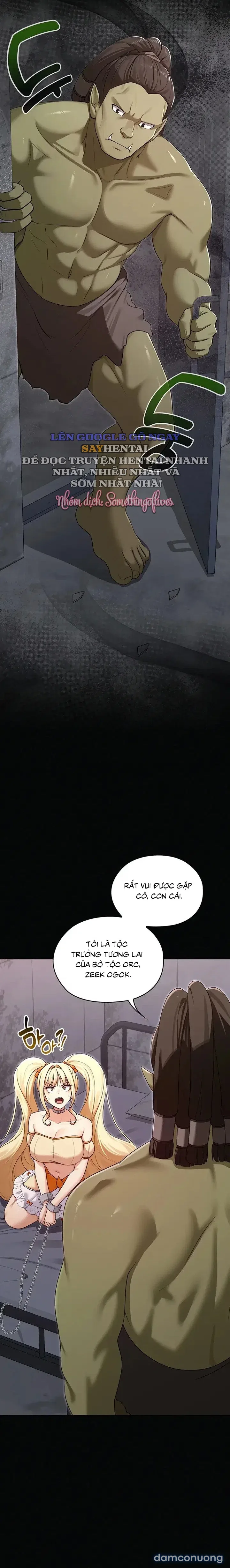 Nàng Vợ Ma Thuật 