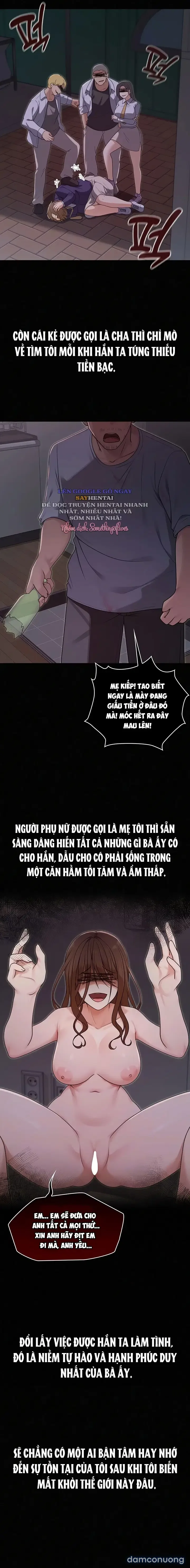 Nàng Vợ Ma Thuật 